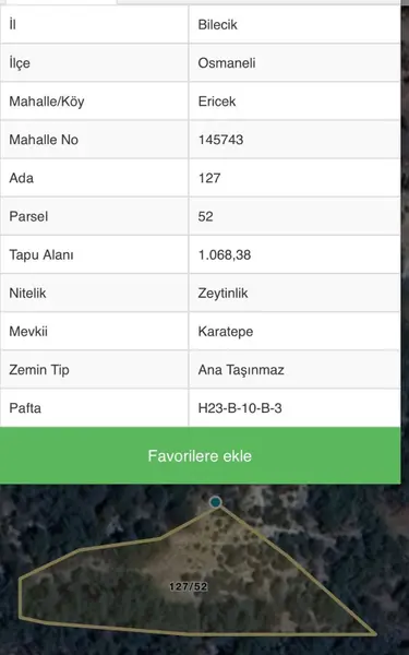 Ormana Sınır Göle ve Köye yakın Zeytinlik