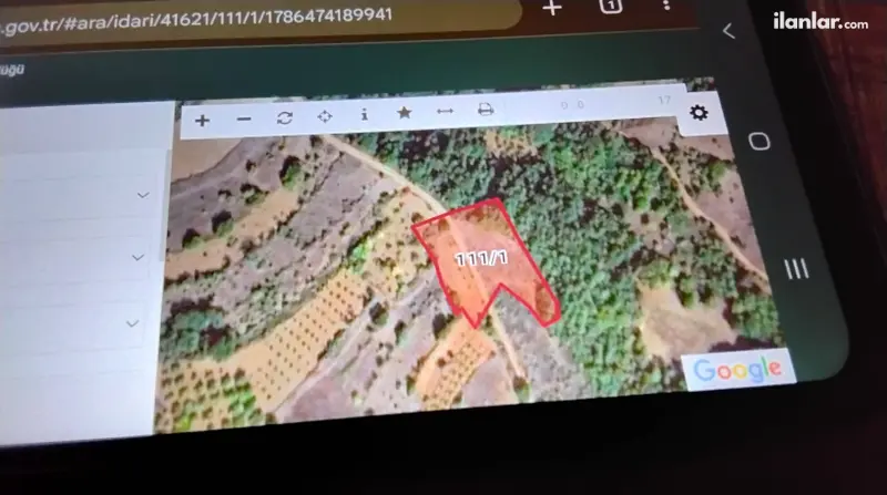Bilecik Gölpazarı Bayat Köyü Mahallesi 4.375 m² satılık tarla arsa - Fotoğraf 1