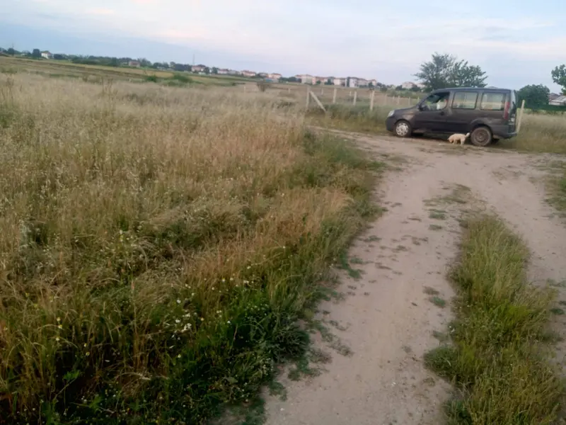 https://cdn.ilanlar.com/images/l1/l2/{width}/{height}/30011797_1780335609562457173.jpg