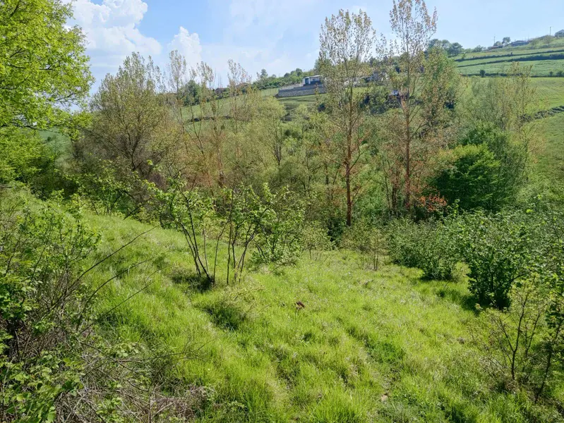 İlan Görseli 2