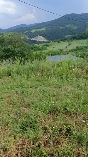 İlan Görseli 3