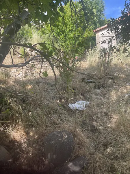 İlan Görseli 3