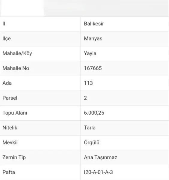 İlan Görseli 2