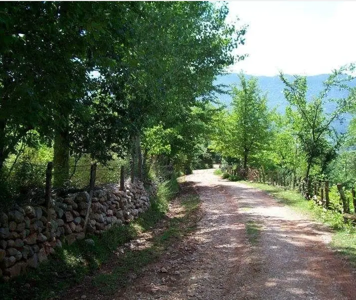 Üniversite Hocasından DOĞA HARİKASI VİLLALIK KÖYİÇİ ÇOK GENİŞ Satlık Arazi