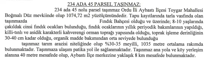 İlan Görseli 3