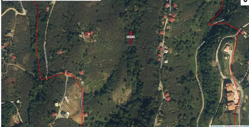 ORMANLARA KOMŞU VİLLALIK ARAZİ