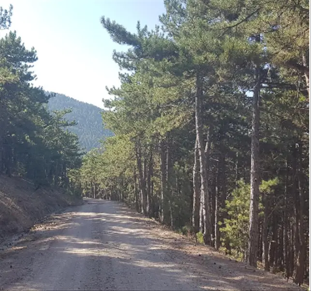 İlan Görseli 2
