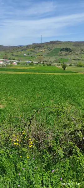 İlan Görseli 3