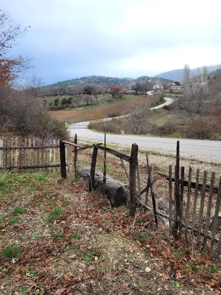 İlan Görseli 2