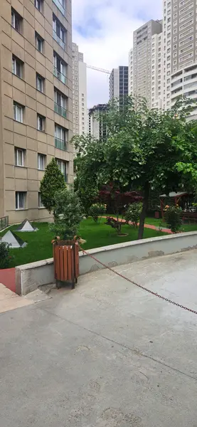 İlan Görseli 2