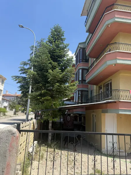 İlan Görseli 2
