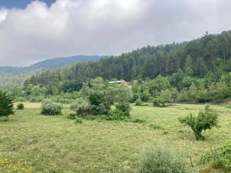İlan Görseli 3