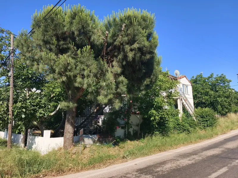 İlan Görseli 2