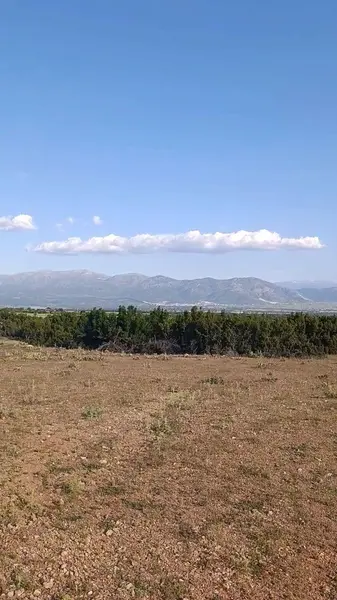 TAVAS'TA 29.744m2 ÇİFTLİK VE MEYVECİLİĞE UYGUN ARAZİ