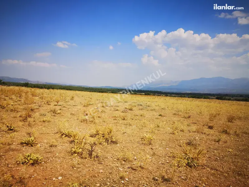 Denizli Tavas Vakıf Mahallesi 29.744 m² satılık tarla arsa - Fotoğraf 1