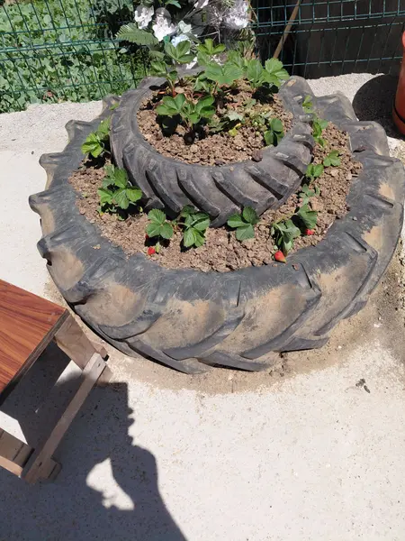 İlan Görseli 2