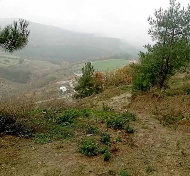 İlan Görseli 3