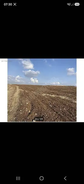 İlan Görseli 2