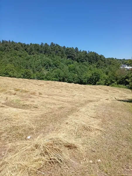 İlan Görseli 3
