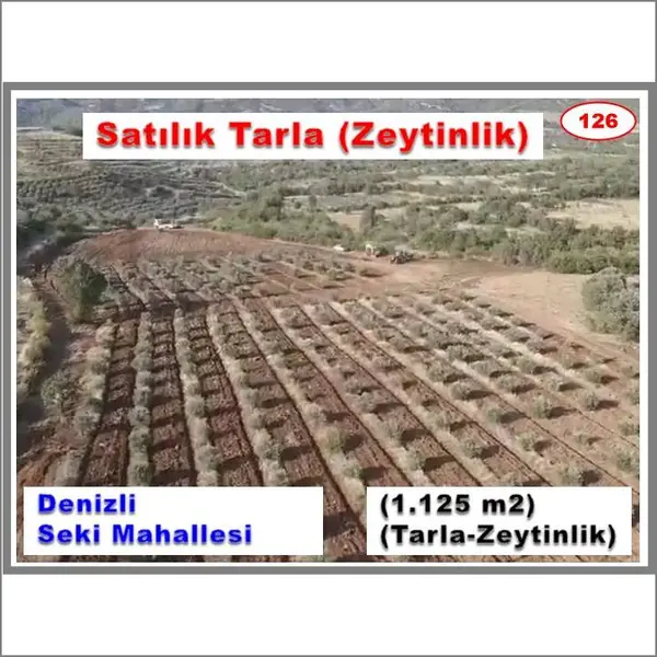 Denizli Tavas Seki Mahallesi 11.225 m² satılık tarla arsa - Fotoğraf 1