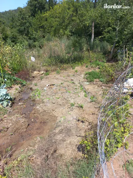 Bursa İnegöl Cemiyet Mahallesi 55 m² satılık bağ & Bahçe arsa - Fotoğraf 1