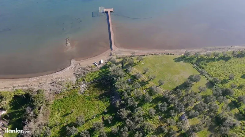 Balıkesir Ayvalık Namık Kemal Mahallesi 7.240 m² satılık zeytinlik arsa - Fotoğraf 1