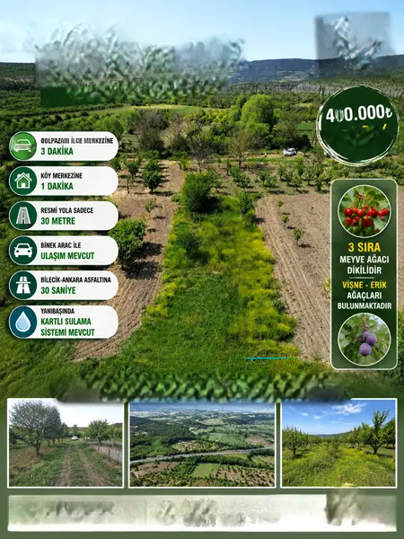 advert_260719_025308_7741.png
