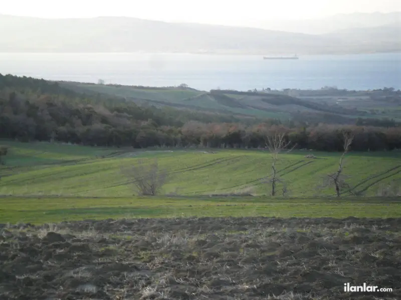 Çanakkale Lapseki Suluca Köyü Mahallesi 14.000 m² satılık tarla arsa - Fotoğraf 1