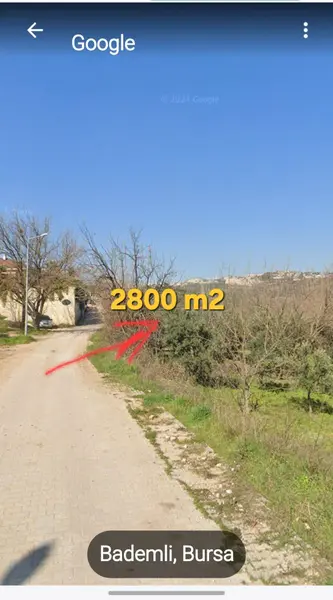 Bursa Mudanya Bademli Mahallesi 2.800 m² satılık bağ & Bahçe arsa - Fotoğraf 1