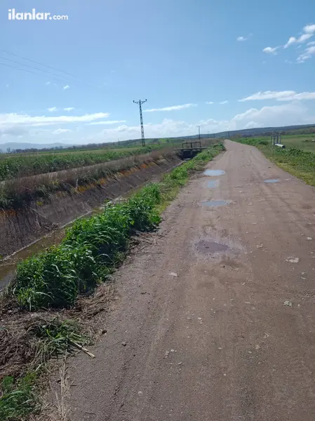 Bursa Karacabey Sultaniye Mahallesi 561 m² satılık bağ & Bahçe arsa - Fotoğraf 1