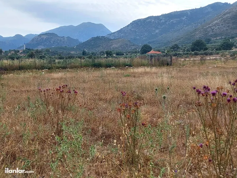 Muğla Seydikemer İzzettinköy Mahallesi 2.538 m² satılık tarla arsa - Fotoğraf 1