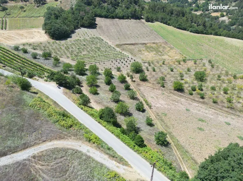 Sakarya Geyve Çukurköy Mahallesi 24.000 m² satılık bağ & Bahçe arsa - Fotoğraf 1