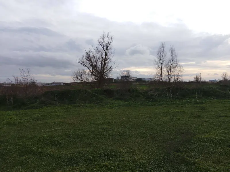 Tekirdağ Saray Beyazköy Mahallesi 247 m² satılık bağ & Bahçe arsa - Fotoğraf 1