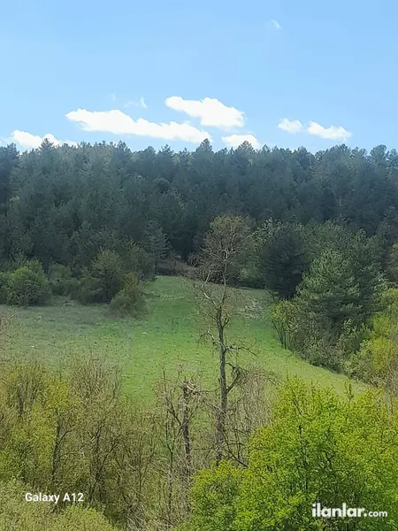 Bursa Harmancık Ballısaray Mahallesi 3.220 m² satılık - Fotoğraf 1