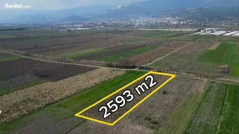 Sakarya Pamukova Cihadiye Mahallesi 2.593 m² kiralık tarla arsa - Fotoğraf 1