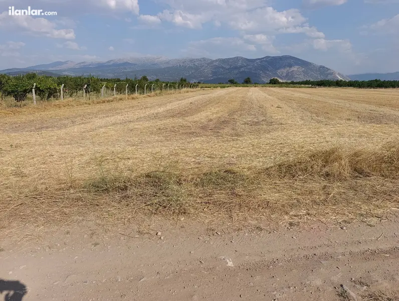 Denizli Tavas Kızılcabölük Mahallesi 12.047 m² satılık tarla arsa - Fotoğraf 1