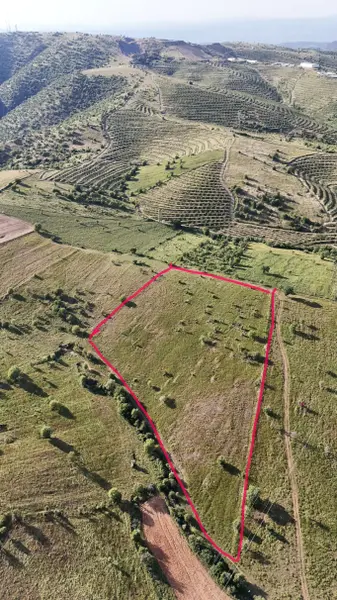 Manisa Kula Gökçeören Mahallesi 22.470 m² satılık tarla arsa - Fotoğraf 1