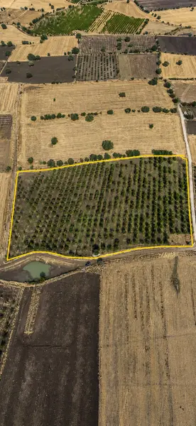 Manisa Kula İbrahimağa Mahallesi 25.650 m² satılık tarla arsa - Fotoğraf 1
