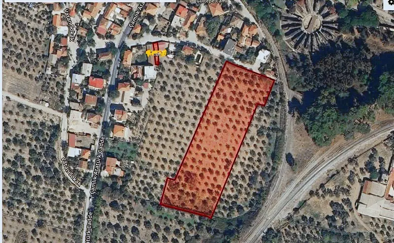 İzmir Selçuk Çamlık Mahallesi 9.169 m² satılık bağ & Bahçe arsa - Fotoğraf 1