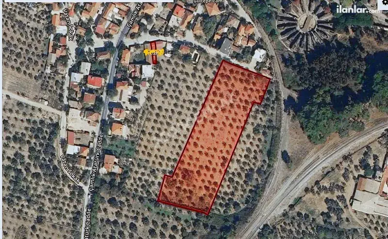 İzmir Selçuk Çamlık Mahallesi 9.169 m² satılık bağ & Bahçe arsa - Fotoğraf 1