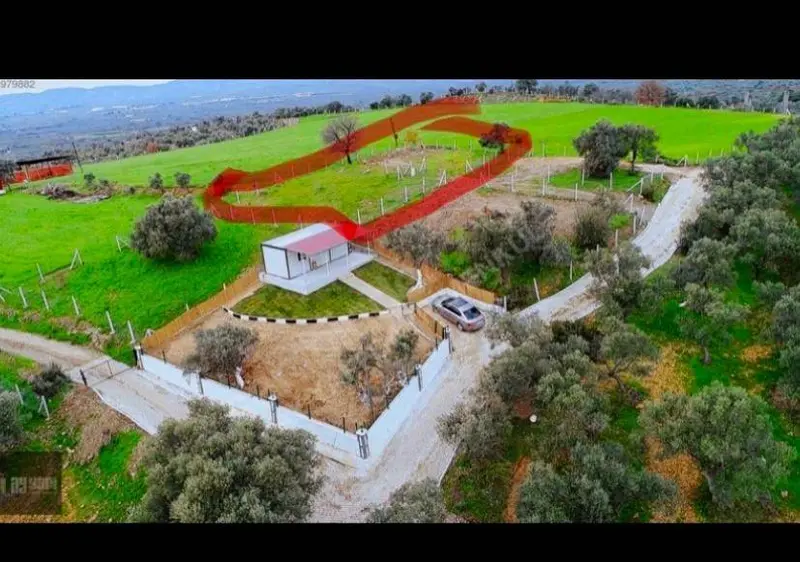 İzmir Torbalı Dirmil Mahallesi 820 m² satılık zeytinlik arsa - Fotoğraf 1