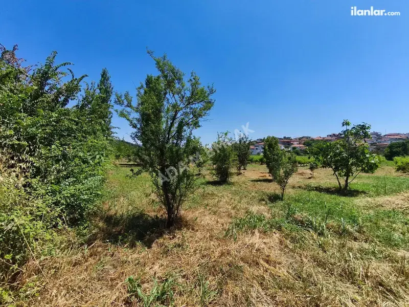 İzmir Selçuk Gökçealan Mahallesi 724 m² satılık tarla arsa - Fotoğraf 1