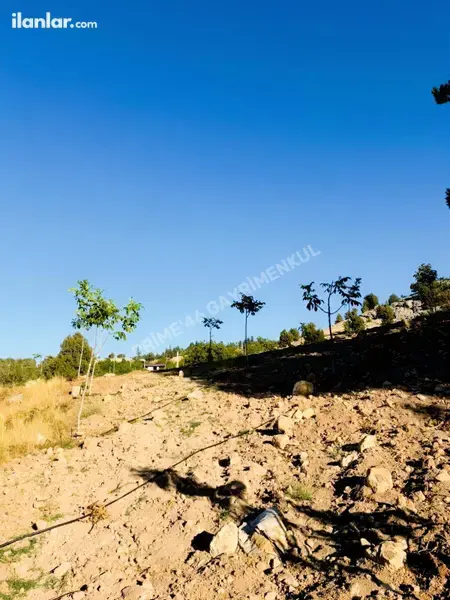 Kahramanmaraş Dulkadiroğlu Başdevrişli Mahallesi 2.163 m² satılık tarla arsa - Fotoğraf 1