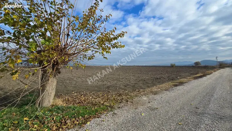 İzmir Torbalı Yeniköy Mahallesi 3.286 m² satılık tarla arsa - Fotoğraf 1