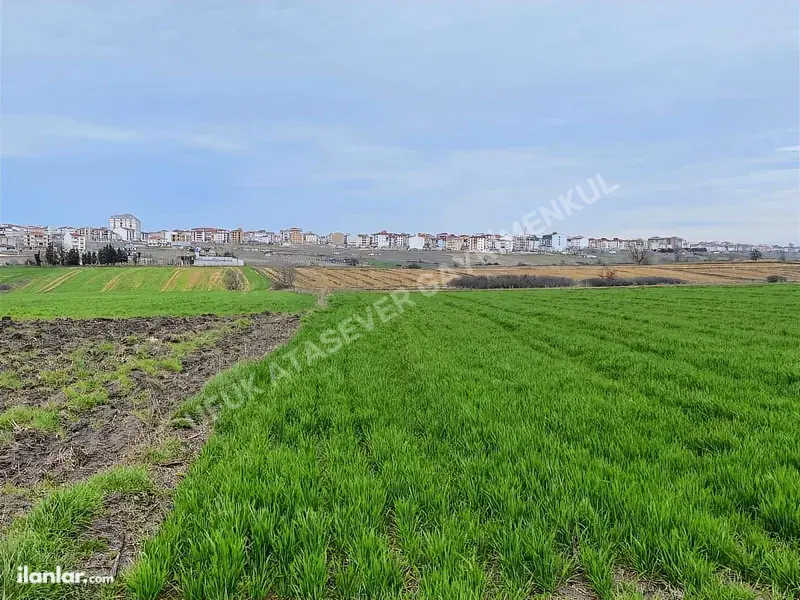 Tekirdağ Kapaklı Pınarca Mahallesi 725 m² satılık tarla arsa - Fotoğraf 1