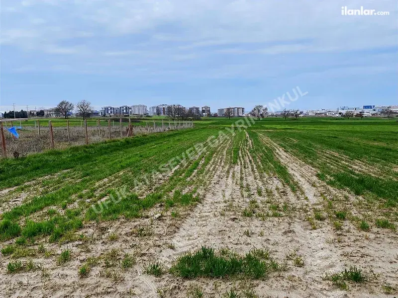 Tekirdağ Çerkezköy Gazi Mustafa Kemalpaşa Mahallesi 1.026 m² satılık tarla arsa - Fotoğraf 1