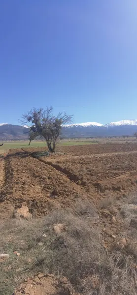Denizli Tavas Bahçeköy Mahallesi 1.227 m² satılık tarla arsa - Fotoğraf 1