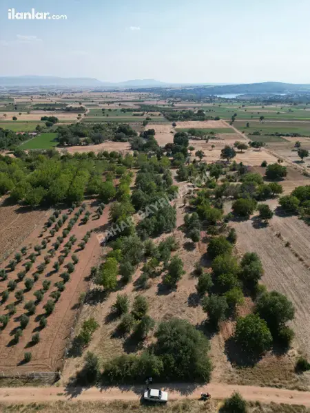Denizli Tavas Karahisar Mahallesi 1.106 m² satılık tarla arsa - Fotoğraf 1