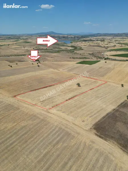 Denizli Tavas Vakıf Mahallesi 16.405 m² satılık tarla arsa - Fotoğraf 1