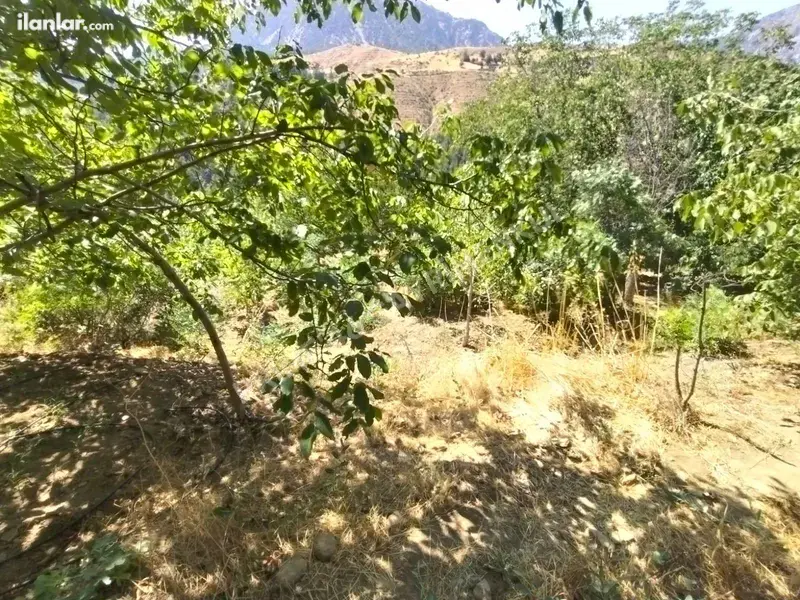 Kahramanmaraş Onikişubat Suçatı Mahallesi 534 m² satılık tarla arsa - Fotoğraf 1